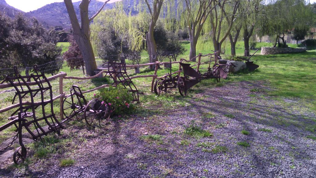 Agriturismo Cugumia Thiesi Εξωτερικό φωτογραφία