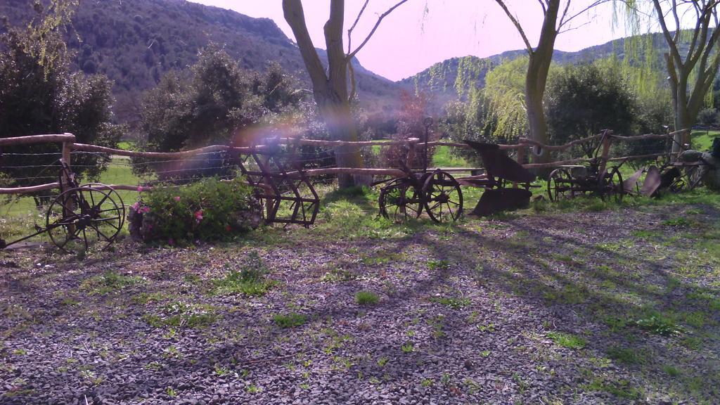 Agriturismo Cugumia Thiesi Εξωτερικό φωτογραφία