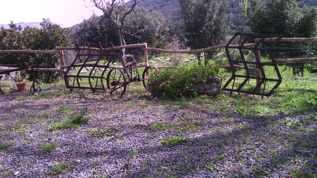 Agriturismo Cugumia Thiesi Εξωτερικό φωτογραφία