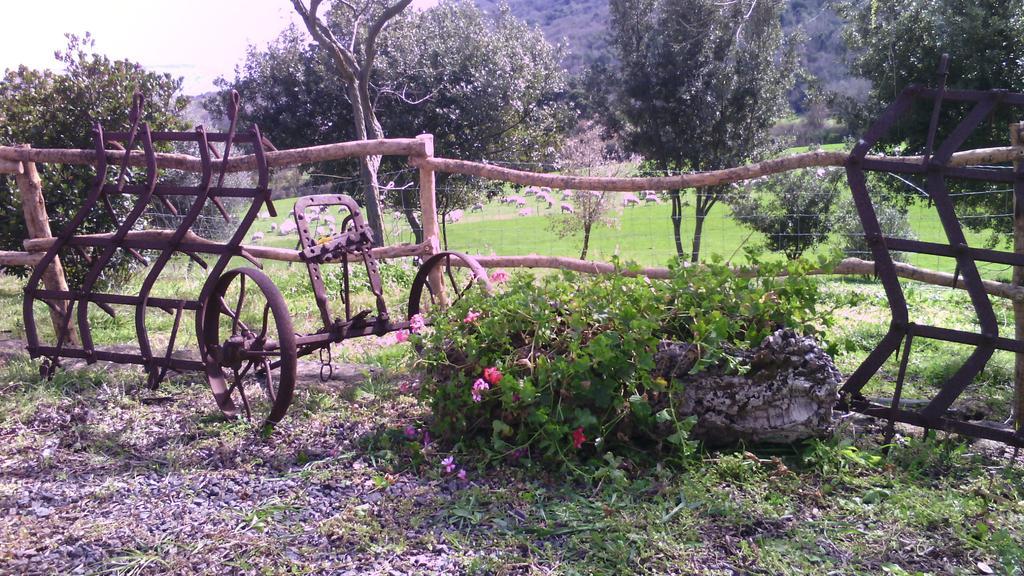 Agriturismo Cugumia Thiesi Εξωτερικό φωτογραφία