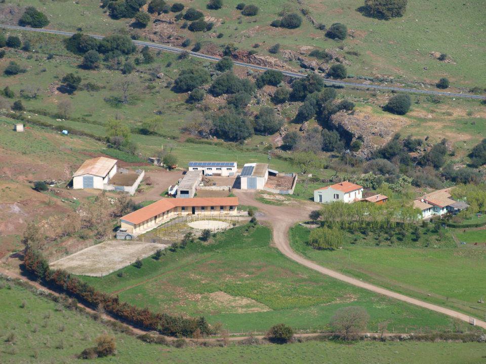Agriturismo Cugumia Thiesi Εξωτερικό φωτογραφία